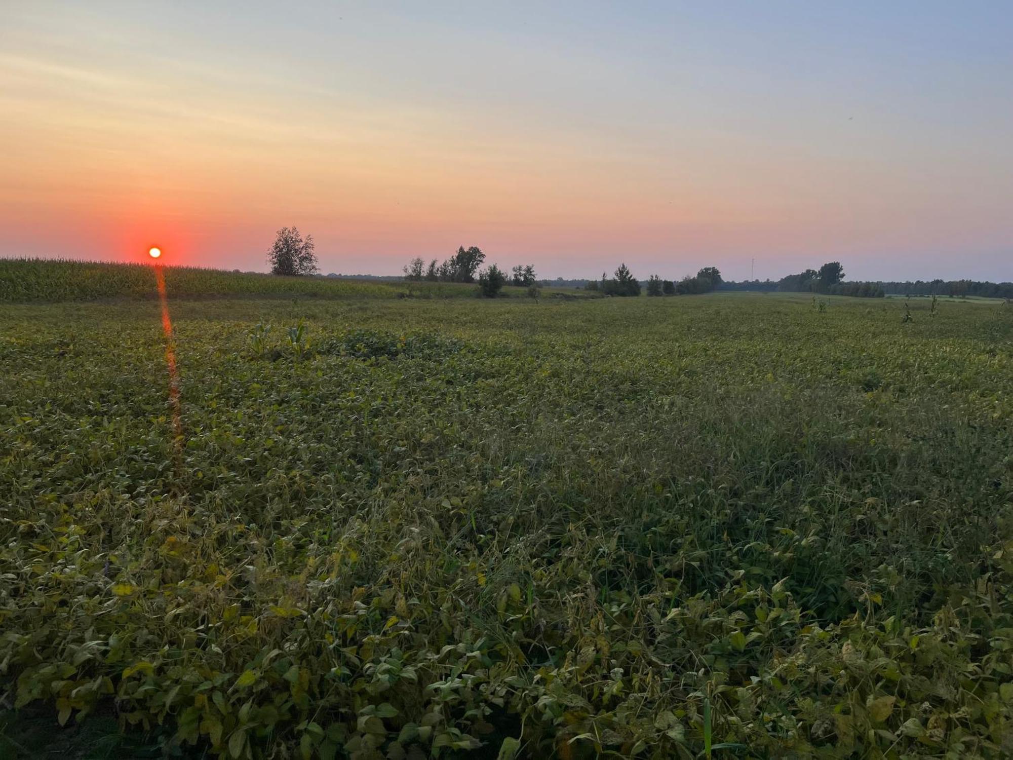 La Ruee Vers L'Orge Lägenhet Trois-Rivières Exteriör bild