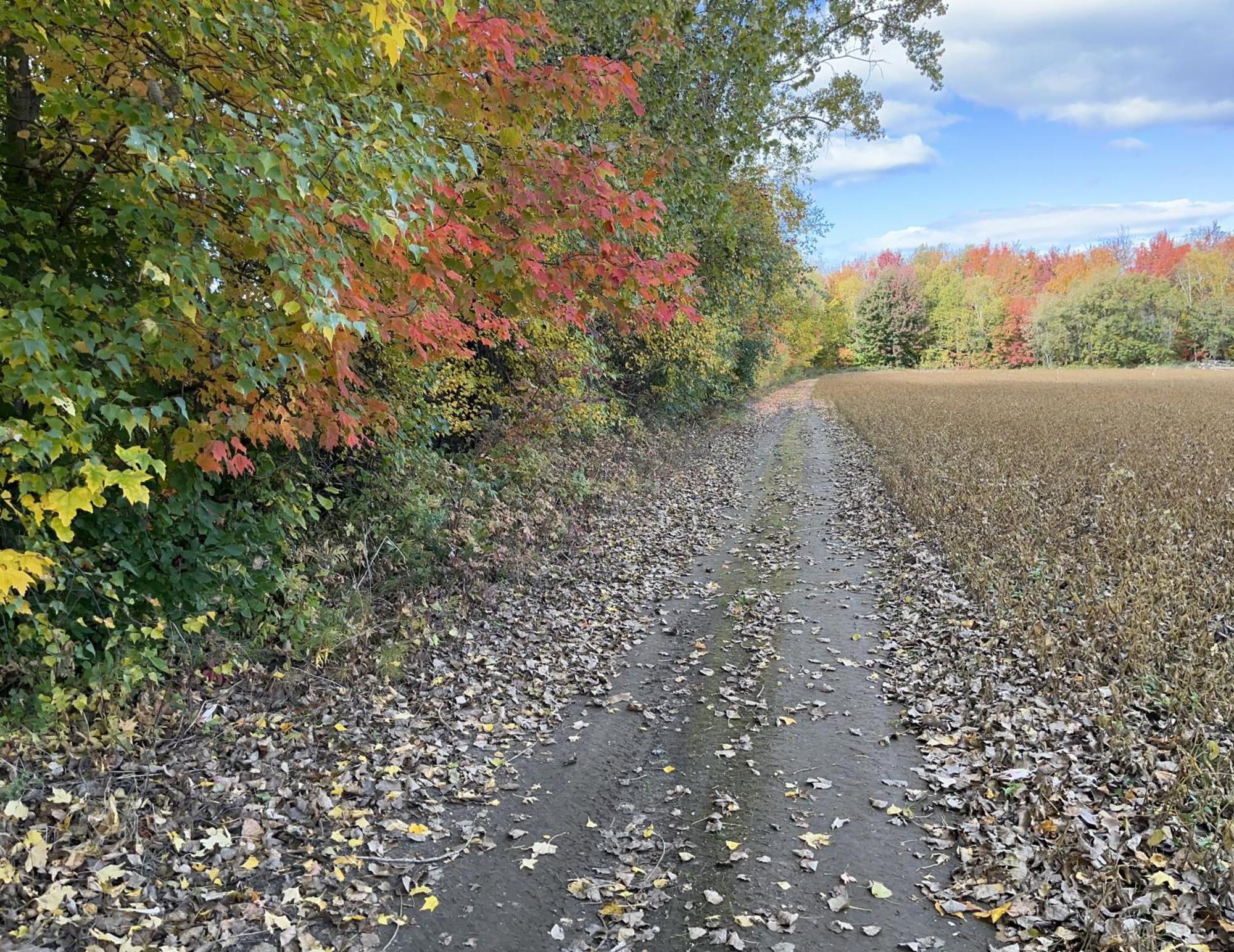 La Ruee Vers L'Orge Lägenhet Trois-Rivières Exteriör bild